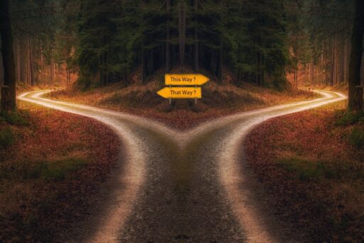 Two separating pathways in the middle of the forest.