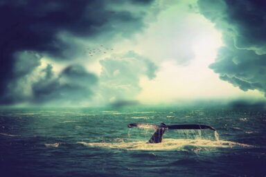 The Terrible Consequences Of Disobeying God