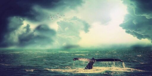The Terrible Consequences Of Disobeying God
