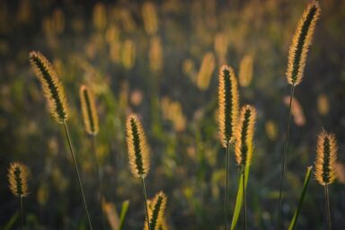 4 Truths that Make John the Baptist the Greatest Prophet