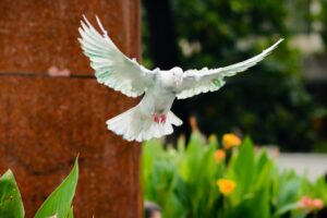 Work of the holy spirit