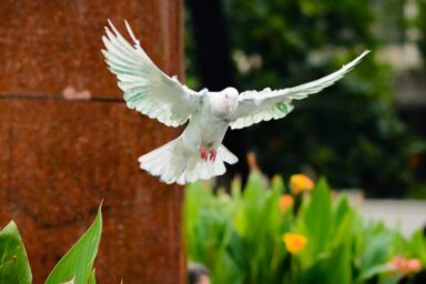 The 4 Works of the Holy Spirit
