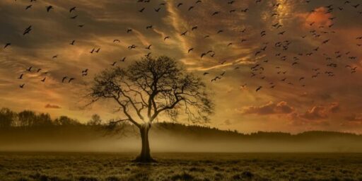 The Epistle to the Hebrews: 5 Critical Warnings to Believers