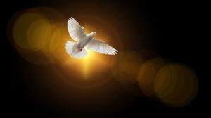 flying dove representing the Holy Spirit