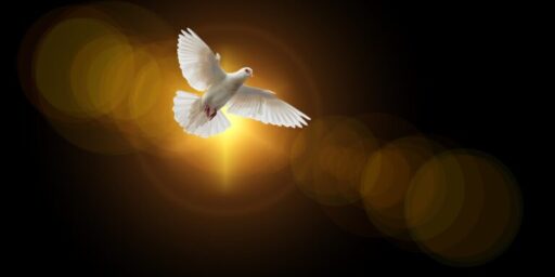 3 Tips to be Filled with the Holy Spirit