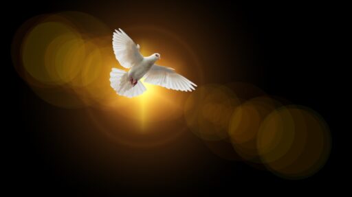 flying dove representing the Holy Spirit