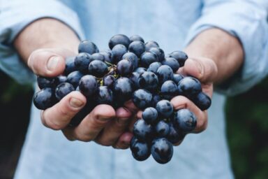 Fruitful Christian: 4 Fuits a Christian should Produce