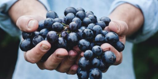 Fruitful Christian: 4 Fuits a Christian should Produce