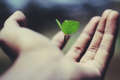 Essentials for Christian Spiritual Growth