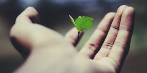 Essentials for Christian Spiritual Growth
